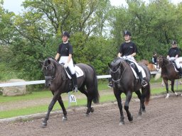 img_9334_web